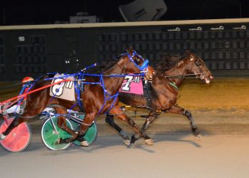 Pocket-rocket triumph for Moments Of Joy