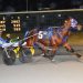 Penzance Hanover hangs tough in Open