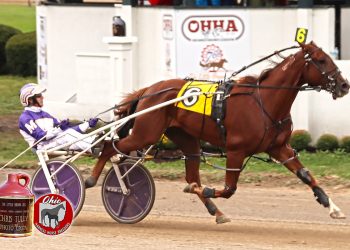 Rose Run Ulysses has a home for life