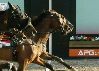 Great Southern Star live updates