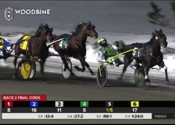 So Much More beats the best again