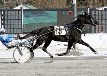 Squee Hanover back to winning ways