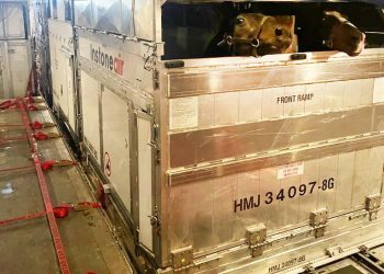 Top shuttle stallions ready for takeoff – finally!