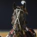 Stylish win secures invitation to $200,000 Ladyship Mile