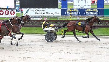 The Falcon makes amends