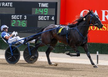 Classic winning dams adorn Bathurst catalogue