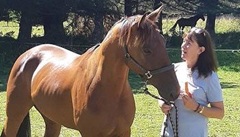 Harness racing trainer and her winning “rogue”