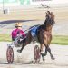 Trotter passed in at sale breaks maiden