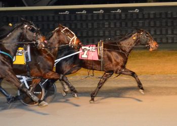 Third straight score a charm for Yanks Dugout