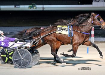 Another upset score for Big City Pearl