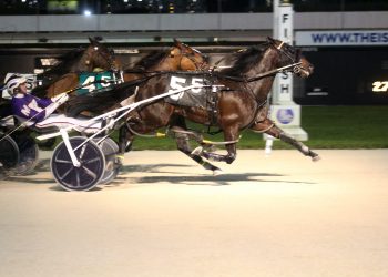 Late rally gets Seeing Eye Single home