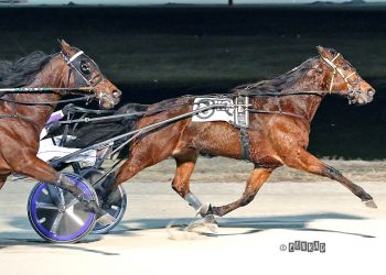 10-1 longshot takes Open Trot