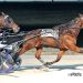 10-1 longshot takes Open Trot