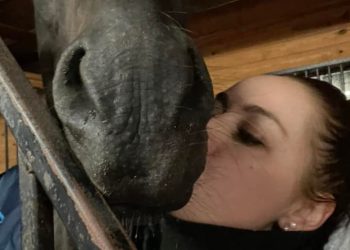 Team Tritton adds some Oz muscle