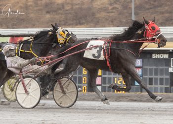 Both early and late trot from Mission Voyage