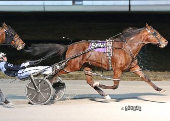 Rose Run Vision dominates again in Open