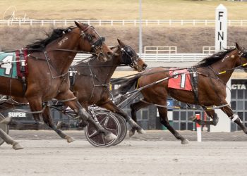 Seeyou At Thebeach springs upset at 20-1