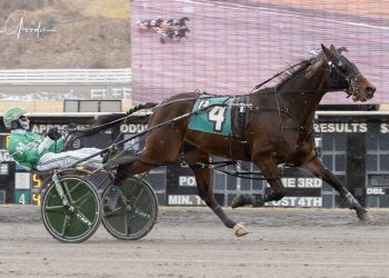 Open Pace won in a romp by Torrin Hanover