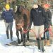 SRF rescue horse passes therapy test