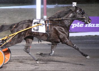 Angel Nation rewards public’s faith