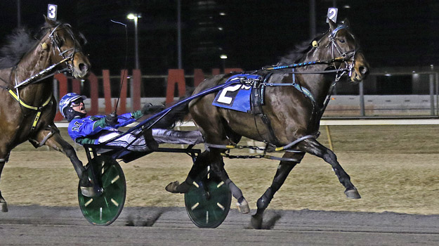 Top pace heads Old Home Week at Connell Park