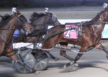 Gingras continues hot streak with five winners