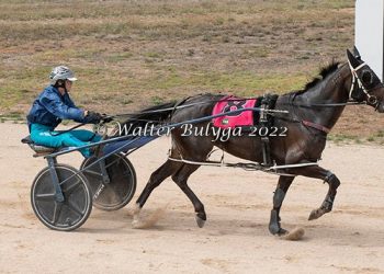 Young guns are flying high