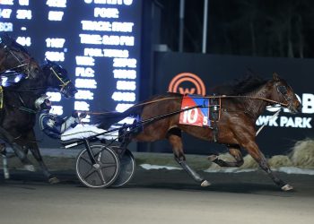 Cindy Lynn: The ‘Absolute Angel’ Trotter