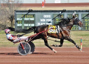Matt Kakaley drives seven winners