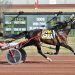 Matt Kakaley drives seven winners