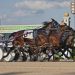 Harrah’s Hoosier Park set for 2022 season 1 Harrah’s Hoosier Park set for 2022 season