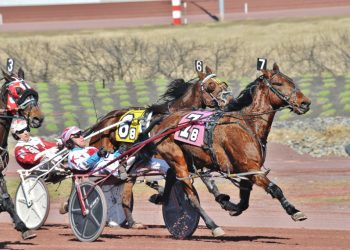 Game Of Claimers series continues to be hard fought