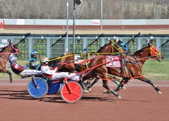 Game Of Claims Series champions crowned