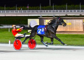 USA World Amateur Cup competition to Larry Ferrari