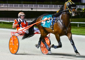 Keystone Apache gets placed first in Open