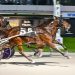 Dead heat for win in Mares Open