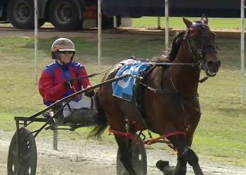 Fighting spirit to capture Charlton’s Cups