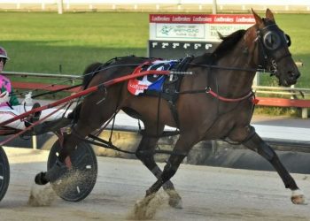 Lights out for Devonport, literally