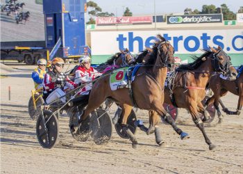 More Silverware for Electrojet