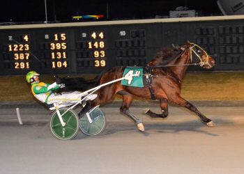 Top trot no problem for Ginger Tree Skyr
