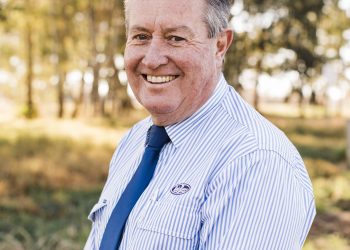 Bathurst Gold Crown Yearling Sale on Sunday