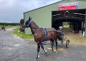 Big offers keep coming for Bondi Lockdown