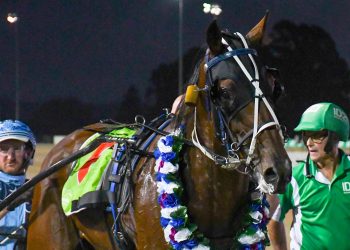 Group winner by Warrawee Needy