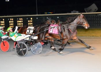 Majorca N wins USA debut