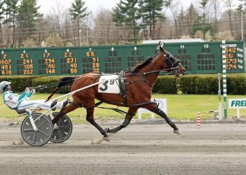 Marohn wins two of three Dandeo Series divisions