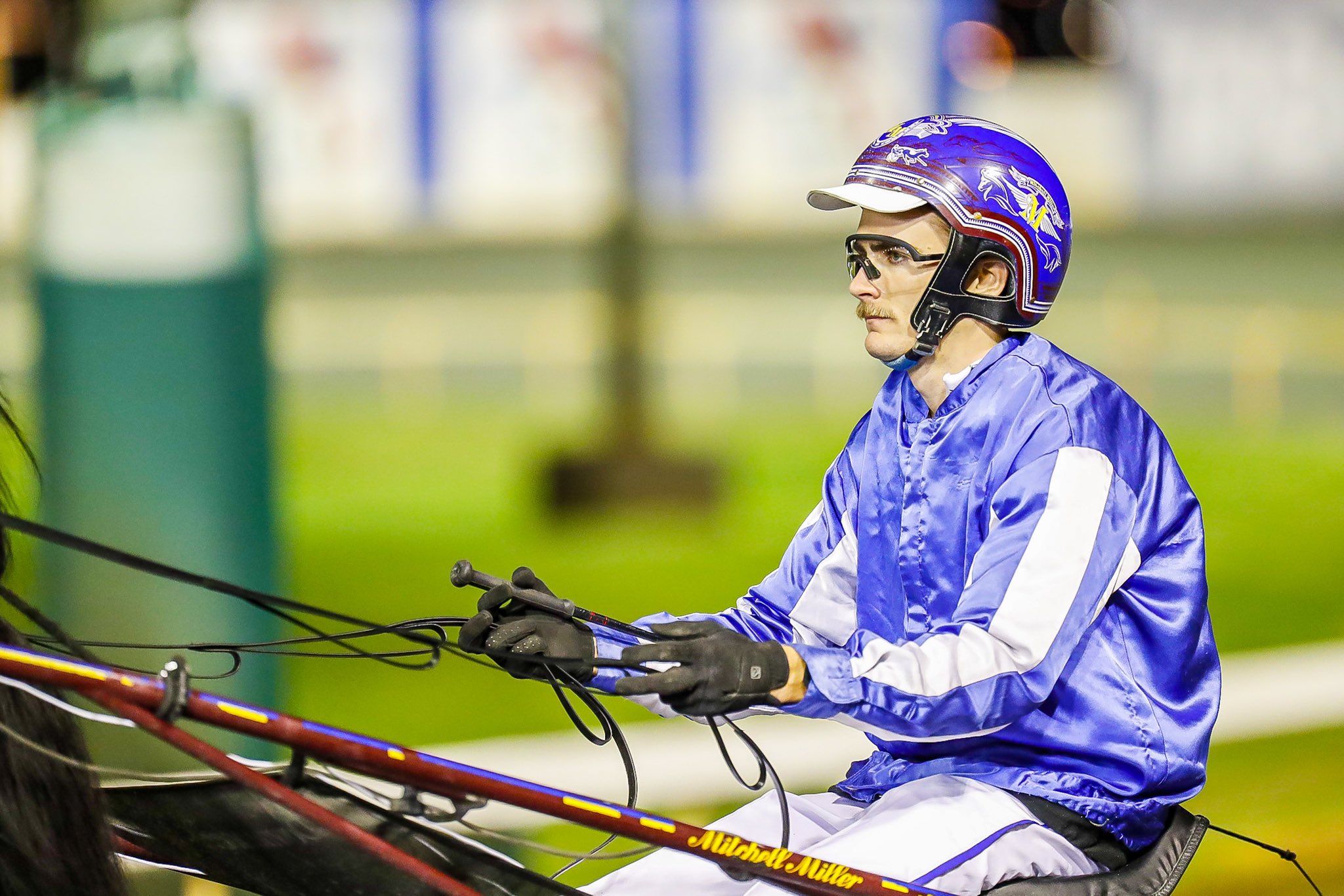 Gloucester Park preview 1