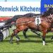 Royal Aspirations goes four for four with first season harness racing crop 2 Royal Aspirations goes four for four with first season harness racing crop