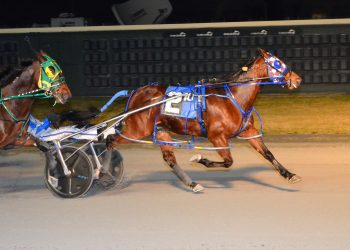 Penzance Hanover wires field for third straight