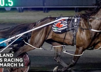 Queensland harness racing wrap