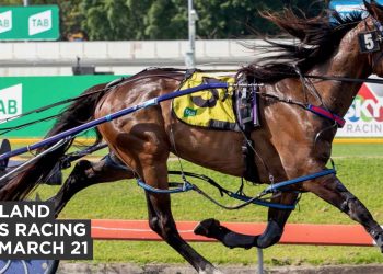Queensland harness racing wrap